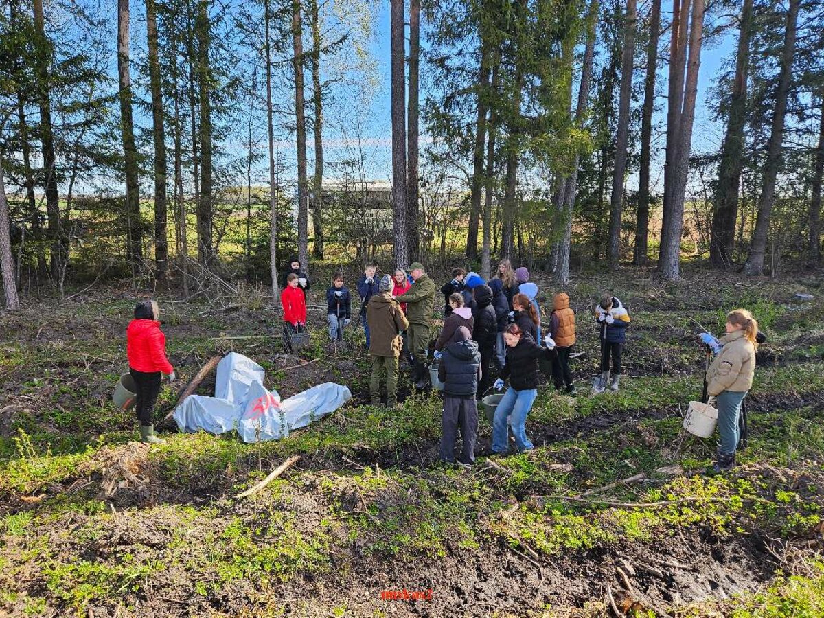 Nacionalinis miškasodis nustebino: per dieną pasodinta milijonai medelių, skaičiai įspūdingi