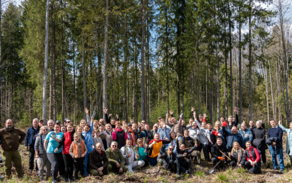 Per kelias valandas pasodino beveik 3000 medelių: pokytis jau matomas plika akimi