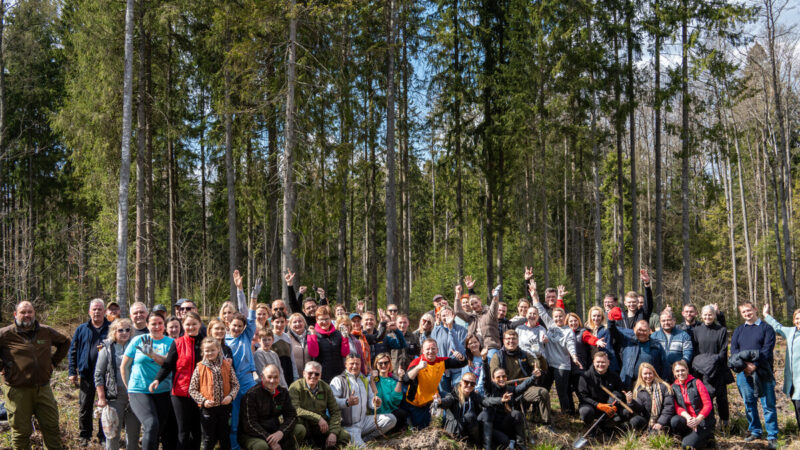 Per kelias valandas pasodino beveik 3000 medelių: pokytis jau matomas plika akimi