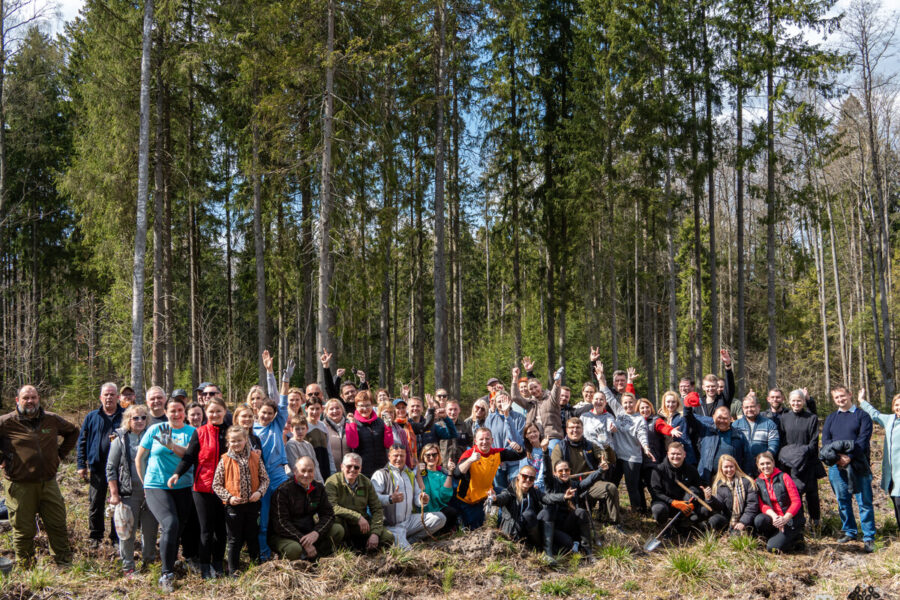 Per kelias valandas pasodino beveik 3000 medelių: pokytis jau matomas plika akimi