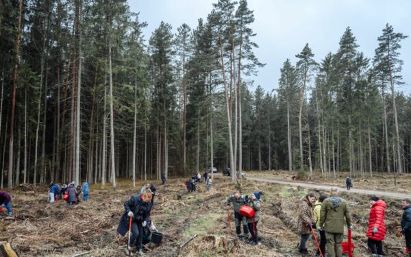 Per vieną dieną pasodintas rekordinis kiekis medžių: tokio masto akcijos dar nebuvo