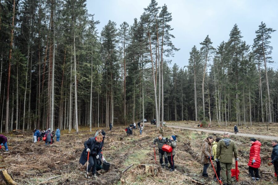 Per vieną dieną pasodintas rekordinis kiekis medžių: tokio masto akcijos dar nebuvo