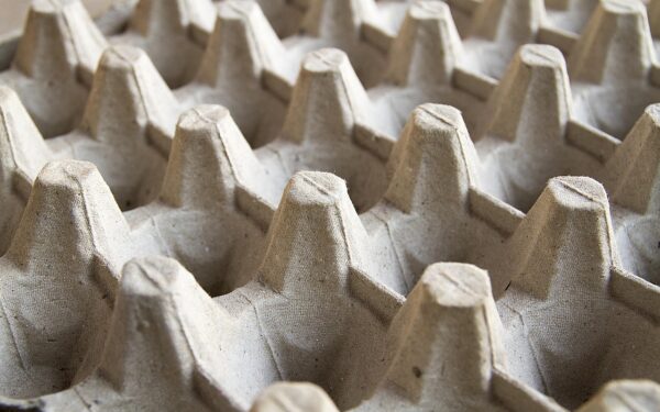 Nebemeskite kiaušinių dėklų: 4 genialūs būdai, kaip juos panaudoti namuose ir sode