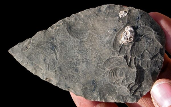 Aptikti žmonių palaikai atskleidė žiaurią tiesą: štai kas vyko prieš 100 tūkst. metų