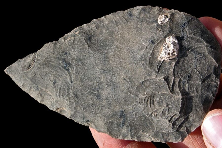 Aptikti žmonių palaikai atskleidė žiaurią tiesą: štai kas vyko prieš 100 tūkst. metų