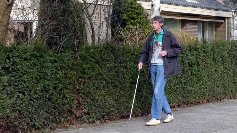 Klausos virsmas regėjimu: naujas tyrimas atskleidė neįtikėtiną žmogaus smegenų lankstumą