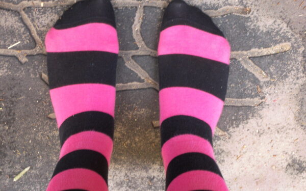 Neskubėkite išmesti skylėtų kojinių: darže jos gali tapti tikru išsigelbėjimu