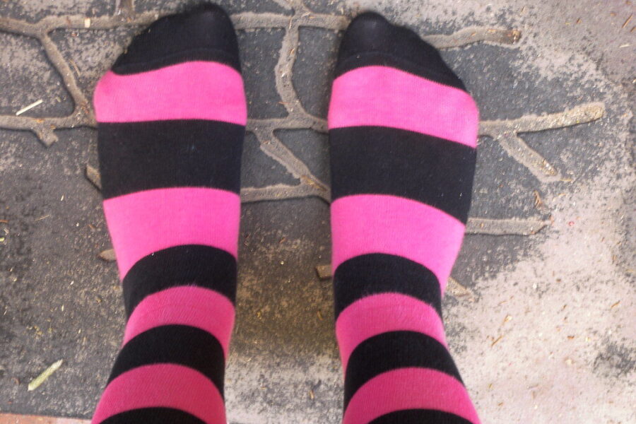 Neskubėkite išmesti skylėtų kojinių: darže jos gali tapti tikru išsigelbėjimu