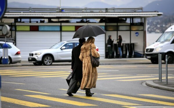 Žvaigždės vėl juos dievina, o Europa nori uždrausti: kas laukia kailių pramonės?