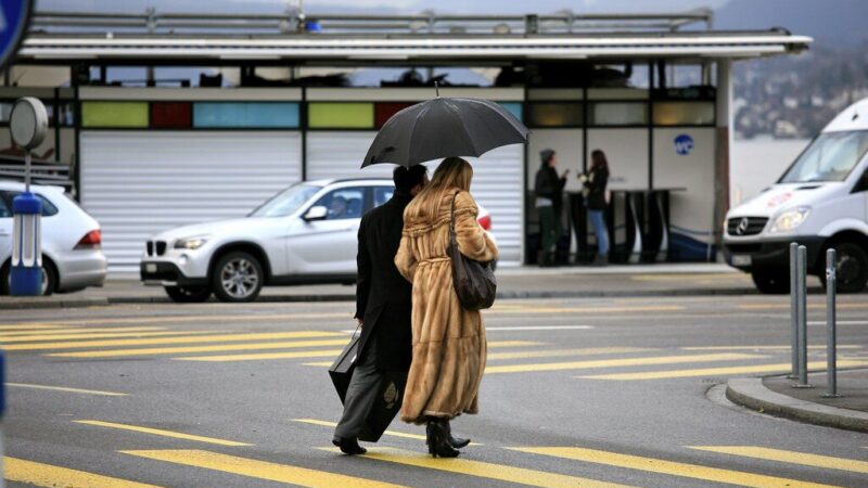 Žvaigždės vėl juos dievina, o Europa nori uždrausti: kas laukia kailių pramonės?