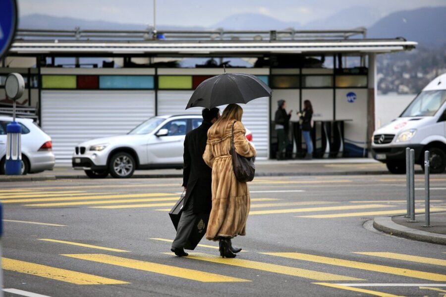 Žvaigždės vėl juos dievina, o Europa nori uždrausti: kas laukia kailių pramonės?