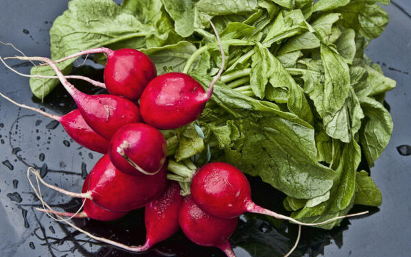 Ridikėliai augs lyg ant mielių: daržininkai atskleidė, kodėl į lysves dabar verta berti smėlį