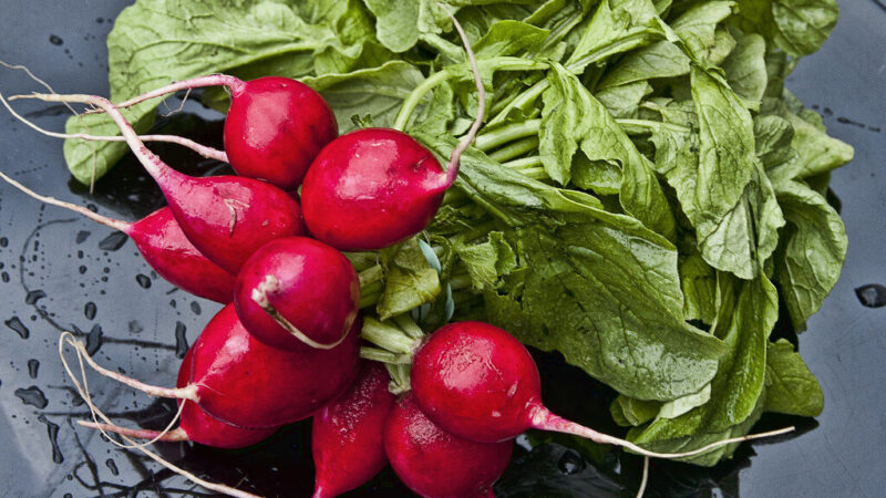 Ridikėliai augs lyg ant mielių: daržininkai atskleidė, kodėl į lysves dabar verta berti smėlį