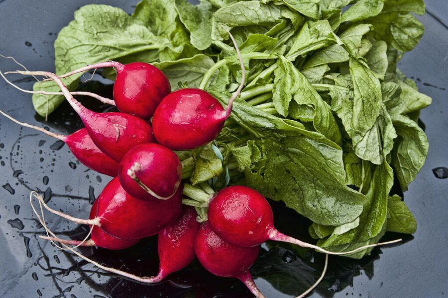 Ridikėliai augs lyg ant mielių: daržininkai atskleidė, kodėl į lysves dabar verta berti smėlį