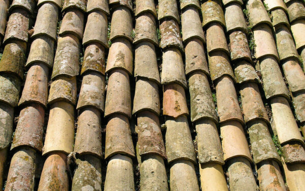 Stogas leidžia vandenį? Meistrai parodė, kaip tualetinis popierius gali išgelbėti jūsų namus