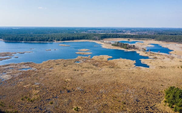 Miškas Lenkijoje, kuriame žmogus tik svečias: čia rasite tai, ko nebėra populiariuose kurortuose