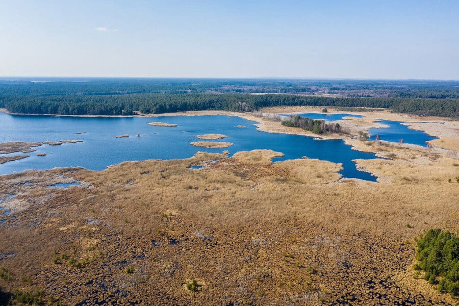 Miškas Lenkijoje, kuriame žmogus tik svečias: čia rasite tai, ko nebėra populiariuose kurortuose