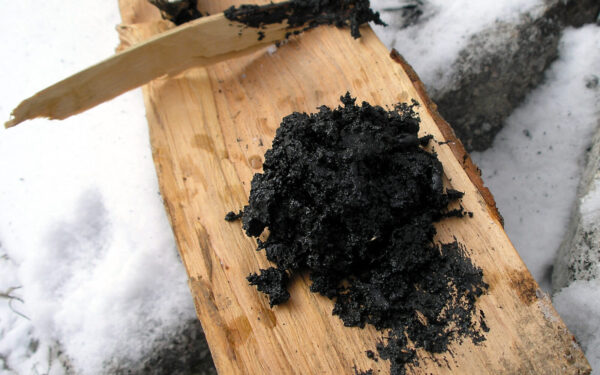 Mokslininkai apstulbę: neandertaliečių naudota medžiaga naikina pavojingas bakterijas