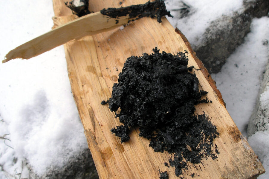 Mokslininkai apstulbę: neandertaliečių naudota medžiaga naikina pavojingas bakterijas