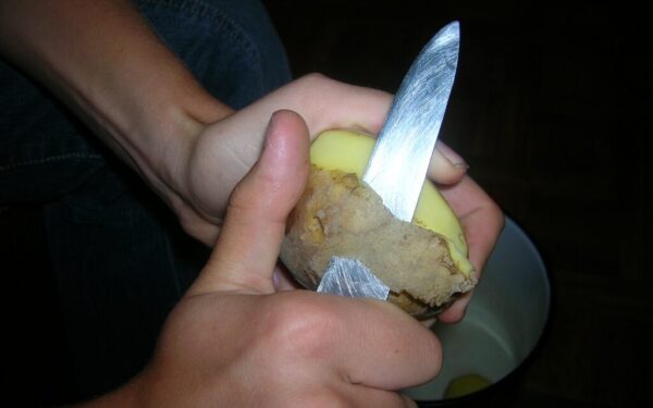 Nustokite išmesti bulvių lupenas: ši virtuvės atlieka gali tapti geriausia trąša jūsų sodui