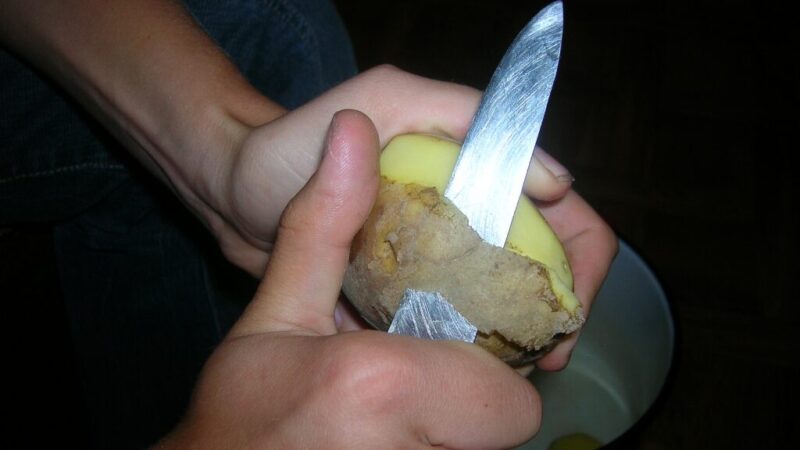 Nustokite išmesti bulvių lupenas: ši virtuvės atlieka gali tapti geriausia trąša jūsų sodui