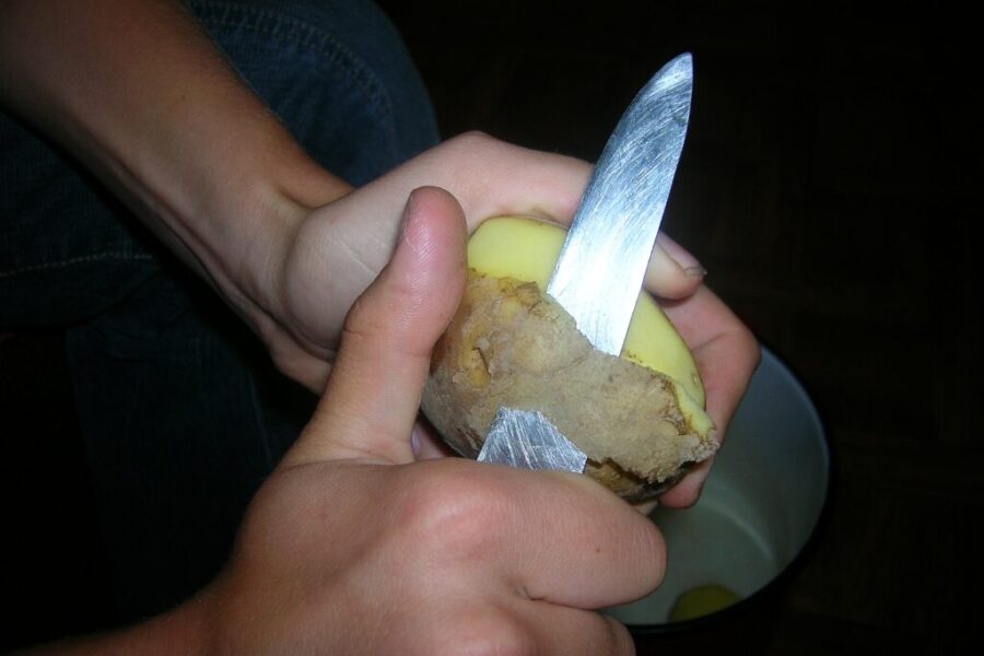 Nustokite išmesti bulvių lupenas: ši virtuvės atlieka gali tapti geriausia trąša jūsų sodui