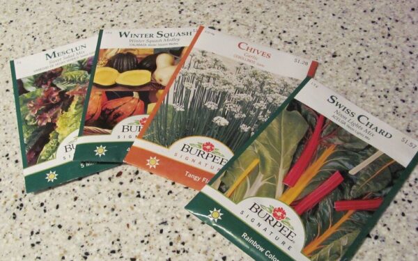 Ką slepia raidės ant sėklų pakelių? Sužinokite, kodėl „F1“ hibridai gali jus nuvilti