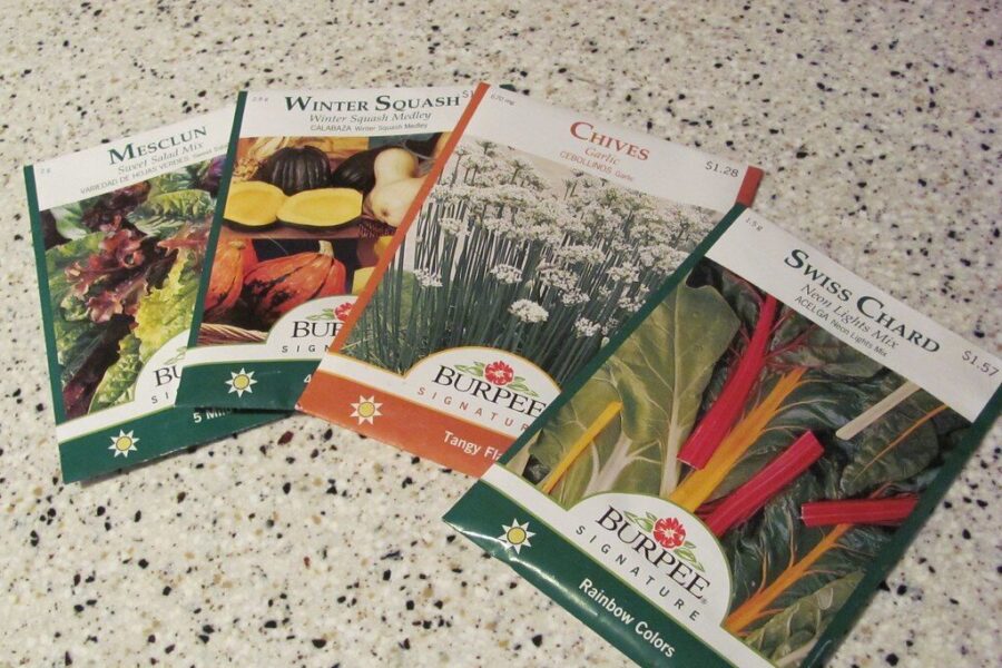 Ką slepia raidės ant sėklų pakelių? Sužinokite, kodėl „F1“ hibridai gali jus nuvilti