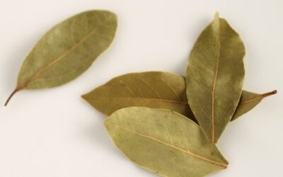 Kenkėjai aplenks jūsų daržą: štai kodėl į lysves verta užkasti lauro lapus