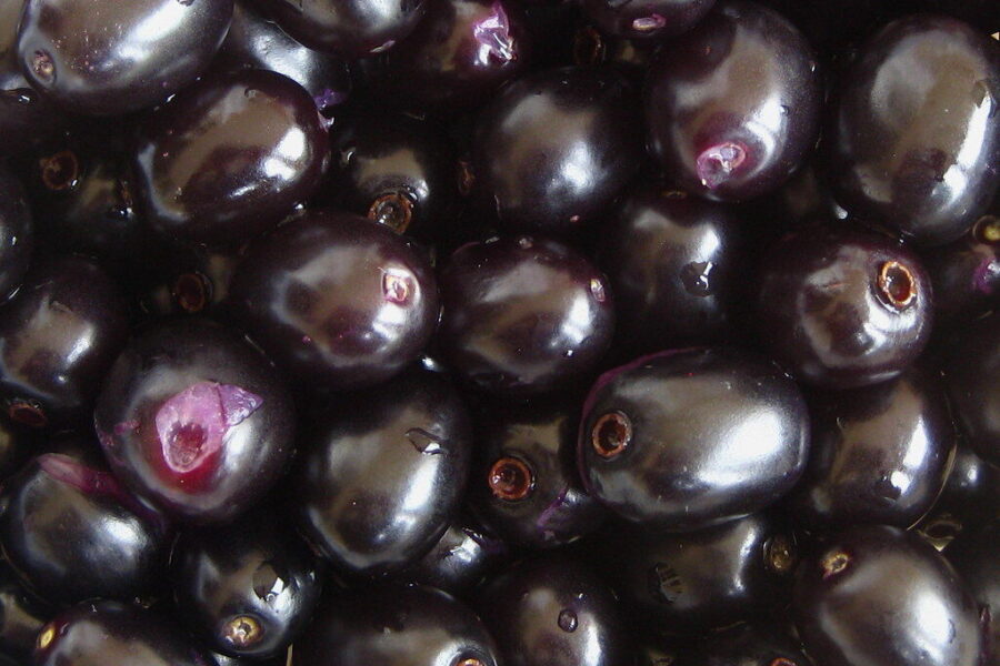 Lietuviai jo dar neatrado: šis tamsus vaisius iš Indijos lygina odą ir saugo jūsų širdį