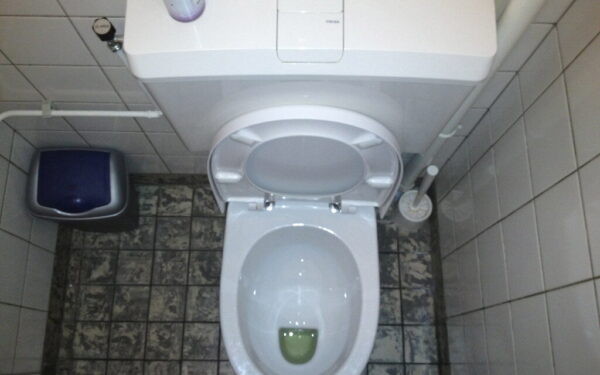 Pamirškite brangius gaiviklius: štai kodėl į unitazo bakelį verta įmesti pradurtą dantų pastą