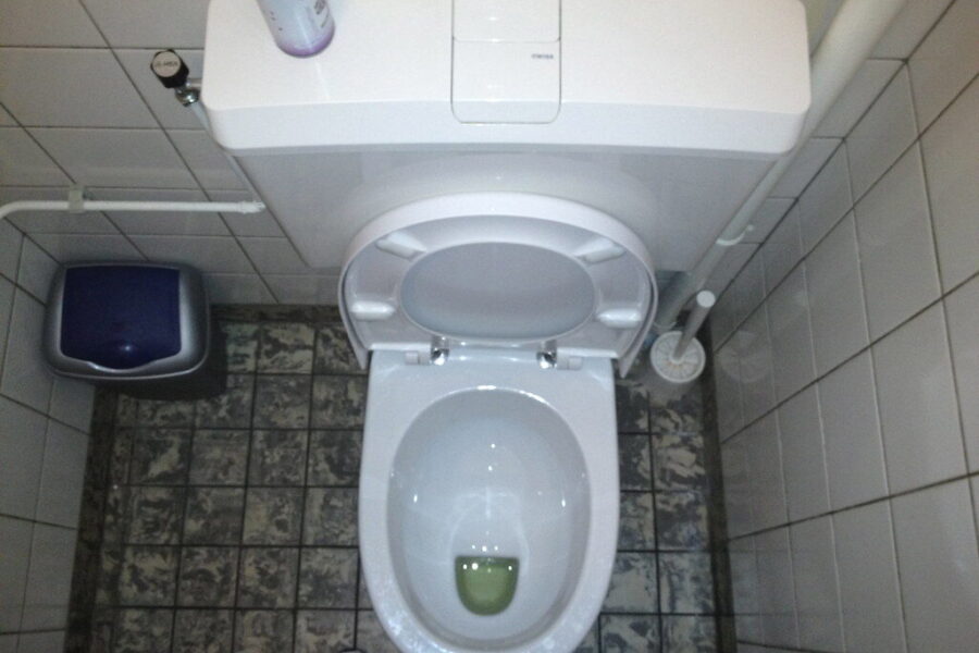 Pamirškite brangius gaiviklius: štai kodėl į unitazo bakelį verta įmesti pradurtą dantų pastą