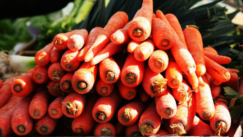 Pamirškite kreivas ir šakotas morkas: viena klaida ruošiant dirvą gali sugadinti visą jūsų derlių