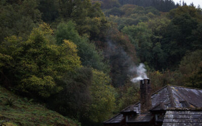 Draudimas įsigalios jau netrukus: dalis gyventojų turės keisti įpročius arba mokėti