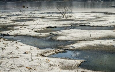 Atlydžio pamokos: kokias klaidas gyventojai daro žiemą ir kodėl apie jas verta pagalvoti dabar?