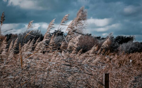 Dangus maišysis su žeme: perspėjama apie šiurpinančius orus, suklusti turėtų visi gyventojai