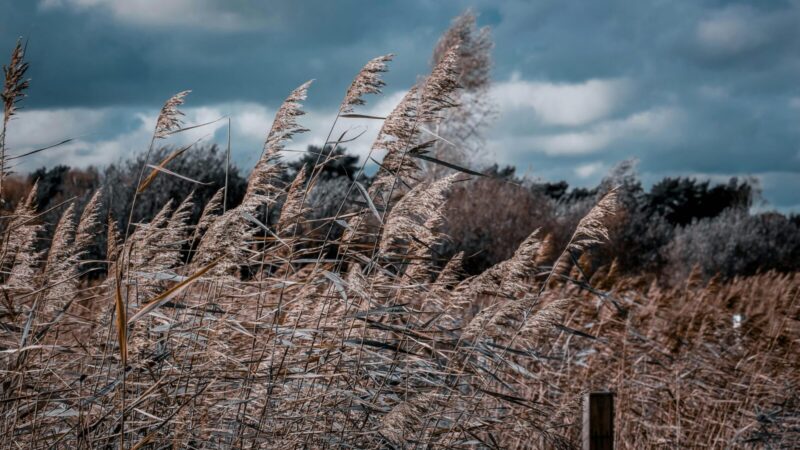 Dangus maišysis su žeme: perspėjama apie šiurpinančius orus, suklusti turėtų visi gyventojai