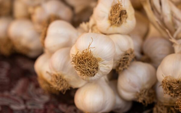 Česnakų derlius priklauso nuo dviejų žingsnių: sužinokite, kokių trąšų jiems reikia būtent dabar