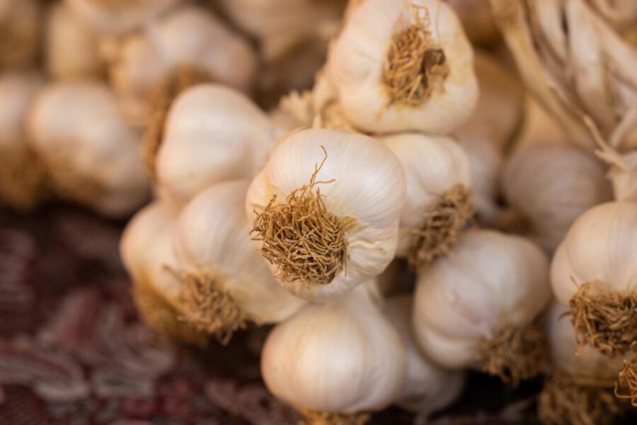 A detailed close-up view focusing on fresh garlic bulbs with natural root texture.