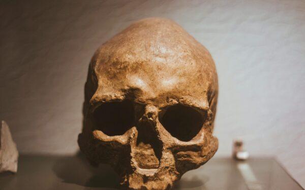 Mokslas griauna didžiausią mitą: neandertaliečiai galėjo būti ne mažiau protingi už mus