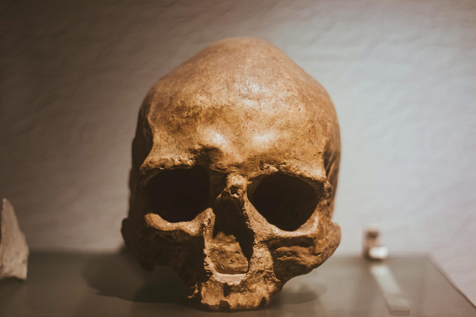 Mokslas griauna didžiausią mitą: neandertaliečiai galėjo būti ne mažiau protingi už mus