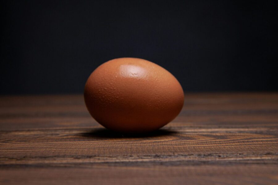 A single brown organic egg resting on a rustic wooden surface, perfect for culinary themes.