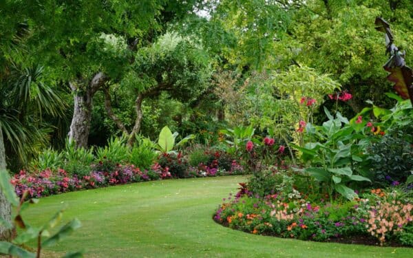 Vaismedžiai atsidėkos dvigubai: štai ką sode būtina suspėti nuveikti dar iki gegužės pradžios