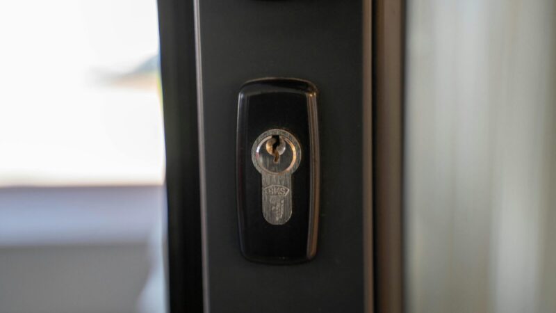 Vagys renkasi taikinį pagal vieną detalę: atskleista, kokia spyna juos atbaido akimirksniu