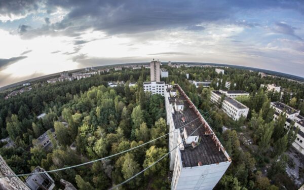 Černobylis po 40 metų: kodėl mirtina zona virto unikalia gamtos laboratorija?