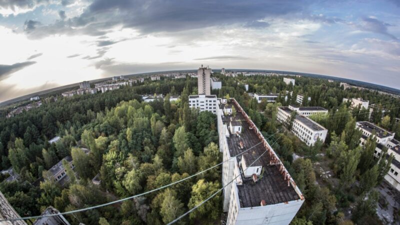 Černobylis po 40 metų: kodėl mirtina zona virto unikalia gamtos laboratorija?