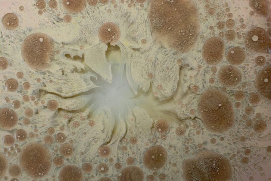 Detailed close-up of an abstract pattern with earthy tones and textures resembling organic forms.