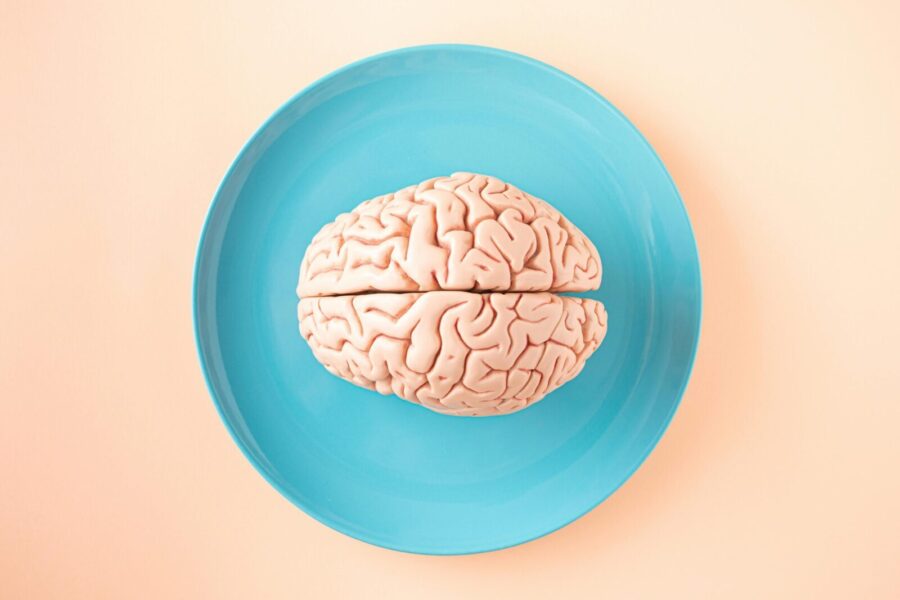 A human brain model placed on a blue plate, viewed from above against a pastel background.
