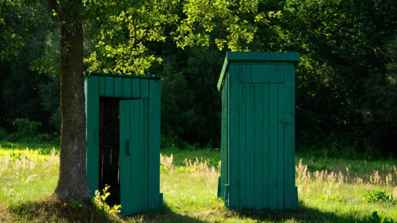 Smirdi lauko tualetas? Štai kodėl populiarūs pigūs triukai gali viską sugadinti