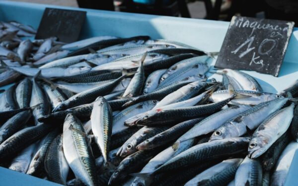 Širdis ir smegenys padėkos: dietologė atskleidė, kiek žuvies per savaitę iš tiesų reikia suvalgyti